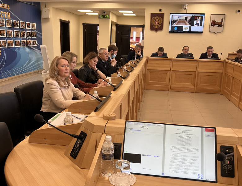 Сегодня Уполномоченным по правам ребенка в Иркутской области был представлен ежегодный доклад на комитетах в региональном парламенте