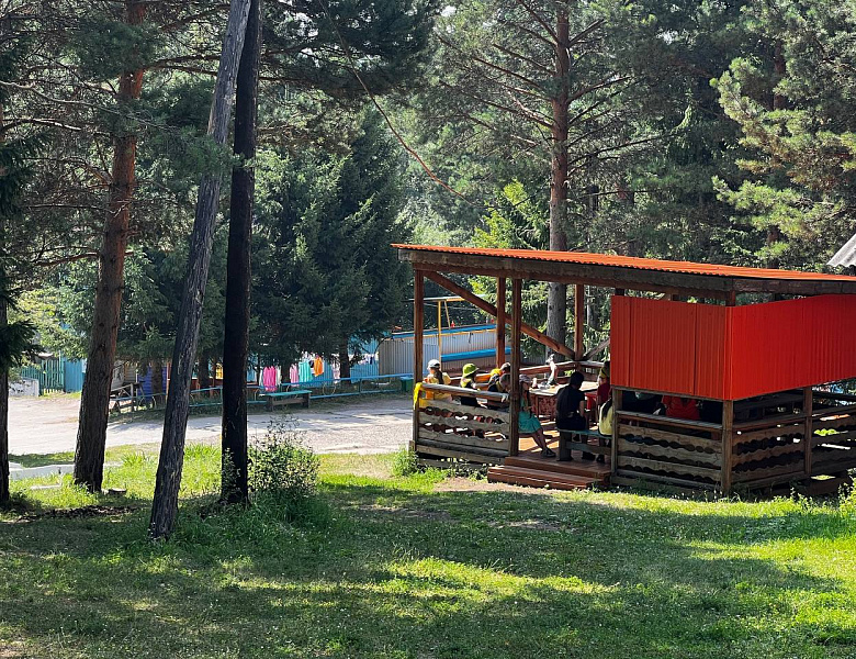 Уже наступил экватор летнего оздоровительного сезона, специалисты аппарата Уполномоченного продолжают инспектирование загородных детских оздоровительных лагерей.